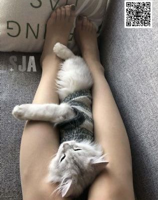 1—42集免费观看电视剧_国产剧免费全集观看
